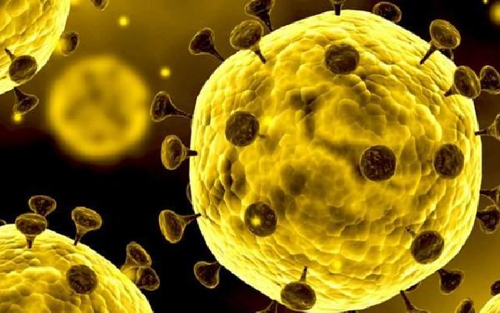 Kasus Infeksi Virus Korona di Australia Menurun