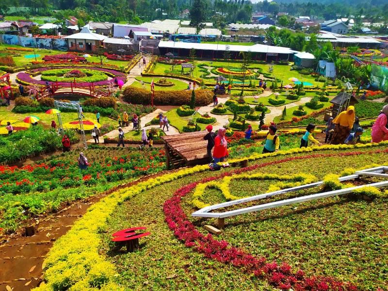 Seribu Kuntum Bunga di Kutabawa Flower Garden