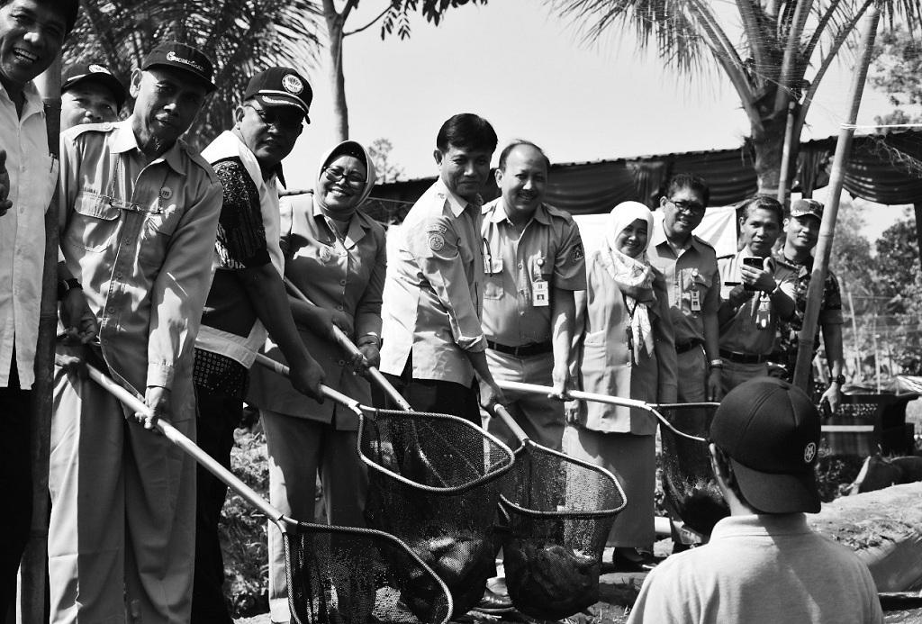 Mina Padi Tingkatkan Kesejahteraan Petani