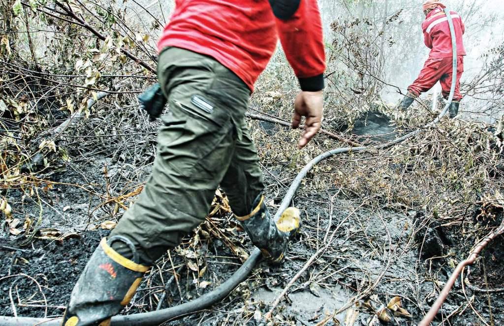 Kebakaran Hutan dan Lahan di Riau Bakal Kian Meluas