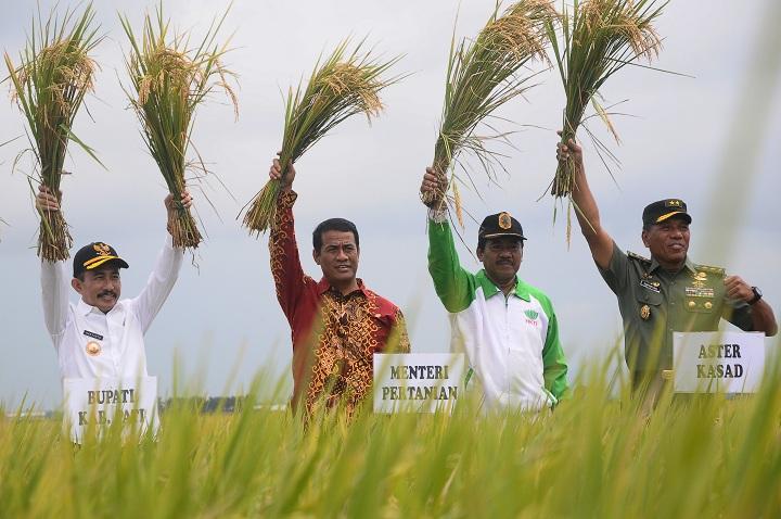 Tekan Kerugian Petani