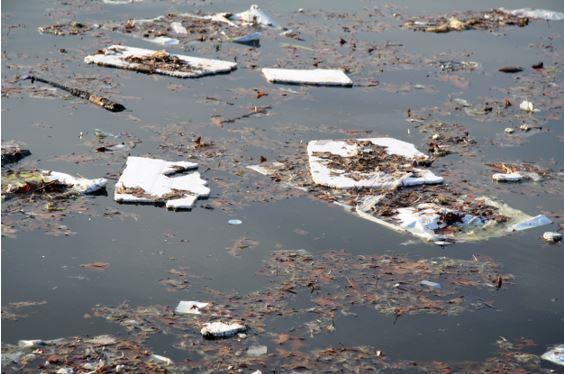 Styrofoam Dominasi Sampah Laut