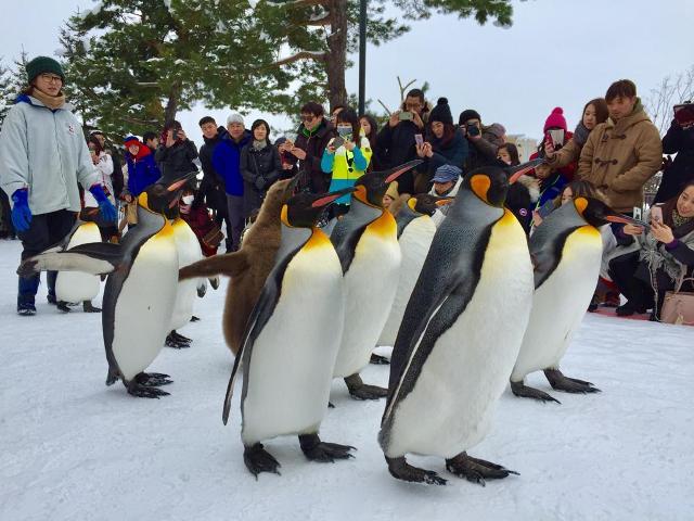 Jelajah Hokkaido