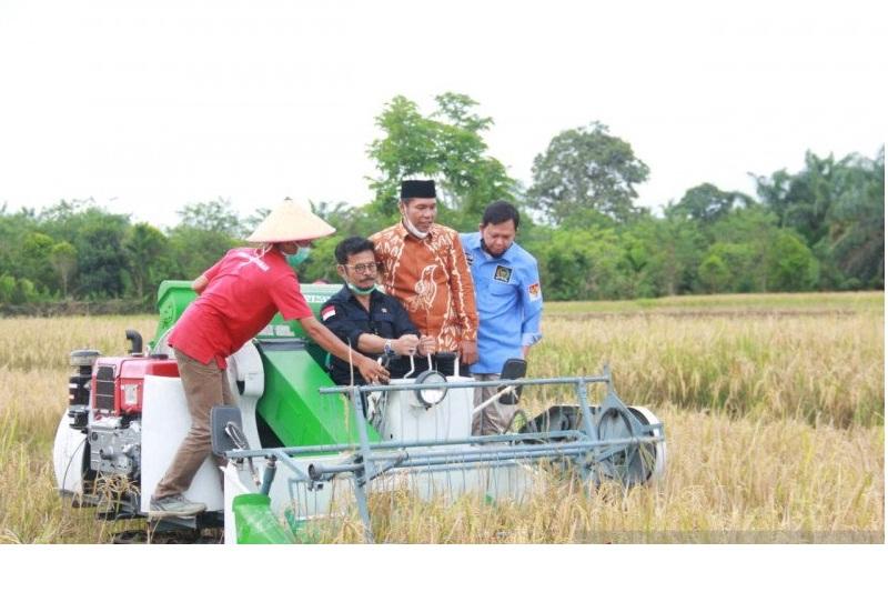 Bengkulu Didorong Jadi Penyangga Kebutuhan Pangan Nasional