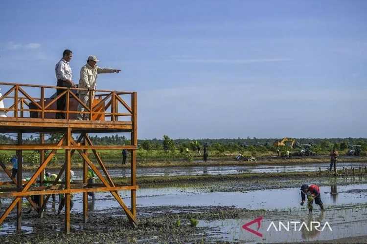 Presiden Apresiasi Peran Anak Muda Papua di Pertanian Modern