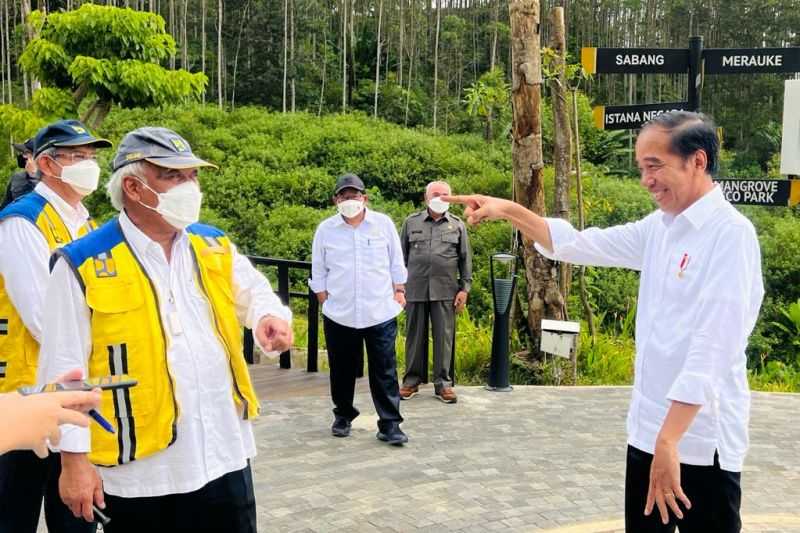 Presiden Yakin Januari 2023 Gedung-gedung Pemerintah dan Kawasan Perekonomian Baru Sudah Terbangun di IKN