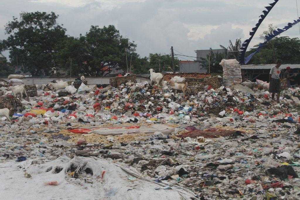 Program Pengelolaan Sampah di Kota Yogya Jadi Program Emas di DIY, Maksudnya?