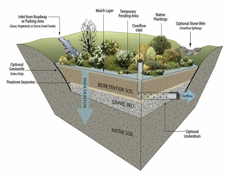 “Rain Garden System', Solusi  Keberlanjutan Lingkungan dan  Ekonomi Sirkular