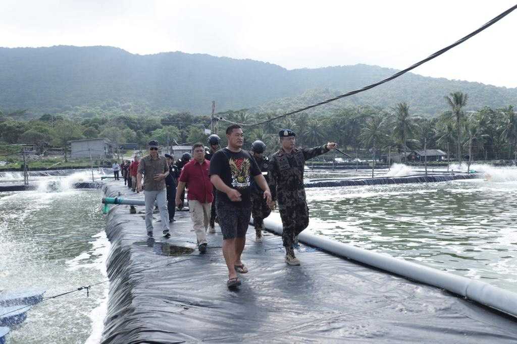 Respons Pengaduan Nelayan, KKP Sidak Tambak Udang Karimunjawa