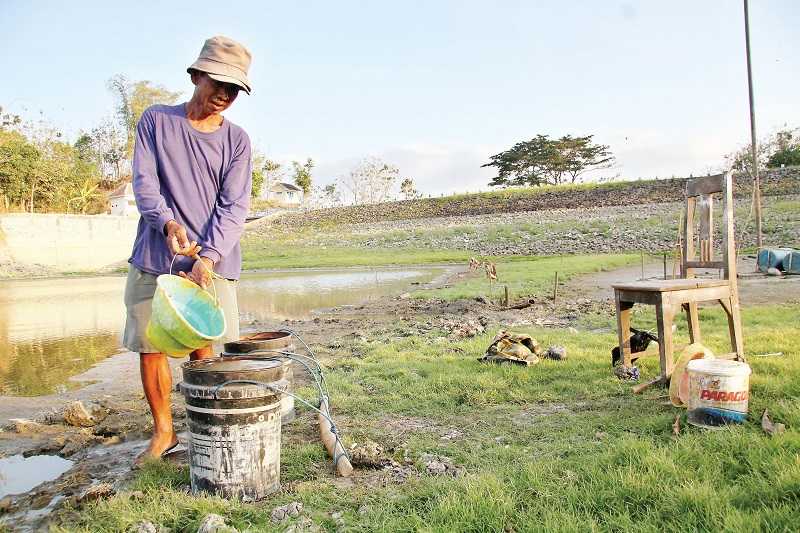 RI Tak Perlu Impor Pangan jika Bisa Atasi Food Loss