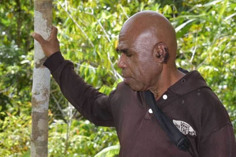 Sangat Menginspirasi, Ini Cara Alex Waisimon Menjaga Cenderawasih dan Hutan Papua Lestari