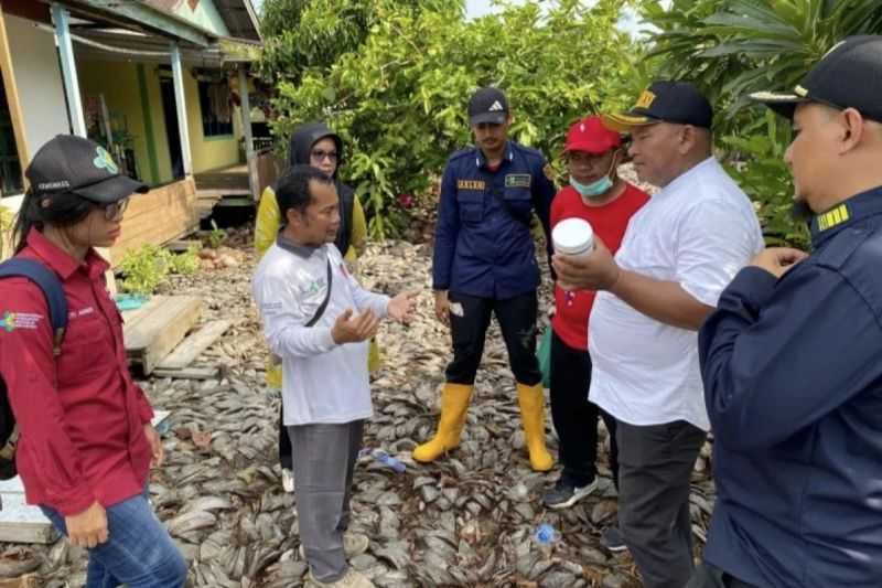 Satgas Malaria Inderagiri Hilir Temukan Lokasi Perindukan Anopheles