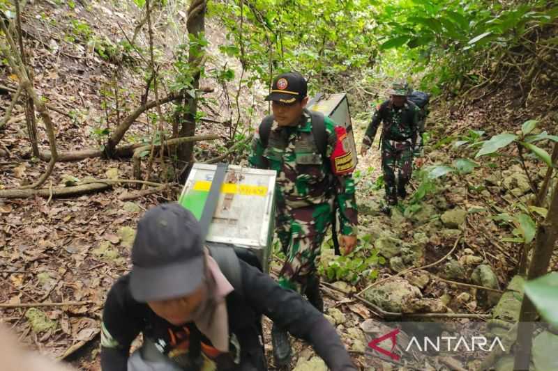 Satgas Pulau Terluar TNI AL Lepas Liar 52 Satwa Dilindungi di Pulau Nusa Barung Jember