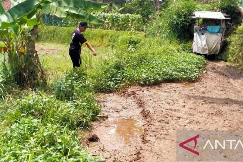 Semoga Ada Solusinya, Bencana Pergerakan Tanah di Tanjungsari Sukabumi Rusak Lima Rumah
