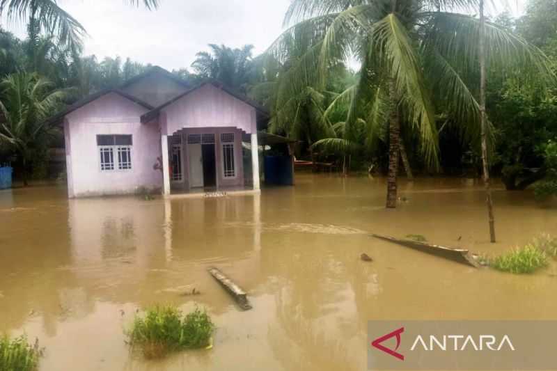 Semoga Segera Ada Bantuan, BPBD: Banjir Rendam Sembilan Desa di Nagan Raya Aceh