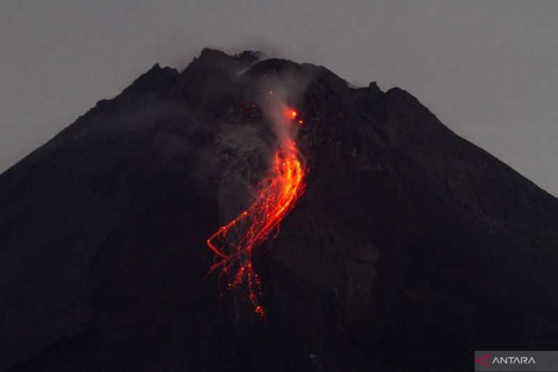 Semoga Tidak Timbulkan Bencana, Gunung Merapi Luncurkan 23 Guguran Lava Pijar Pada Jumat Pagi
