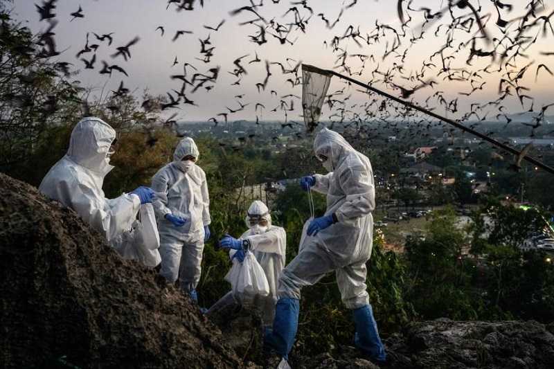 Studi: Perubahan Iklim Akan Mempercepat Penyebaran Virus