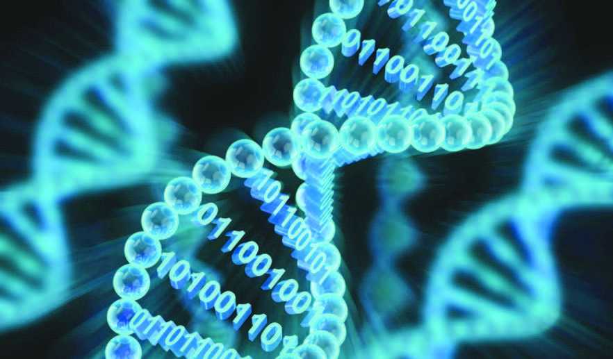 Tambahkan Kode Huruf ke Alfabet DNA Dapat Gandakan Penyimpanan Data
