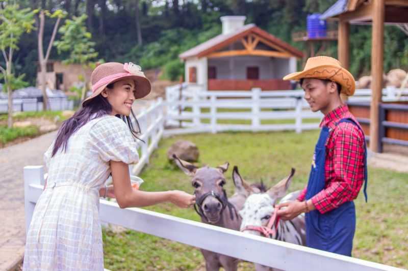 Tempat Wisata Cimory Bakal Ganti Nama Jadi Dairyland