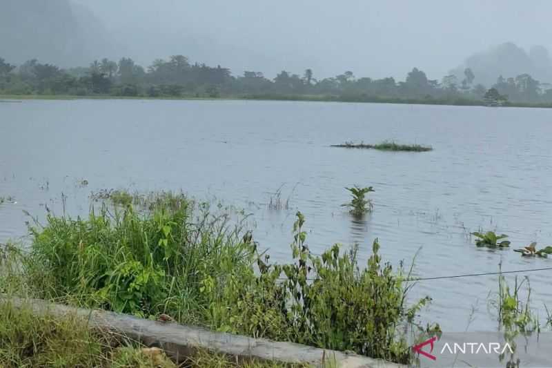Terendam Banjir, 150 Hektare Lahan Pertanian Gagal Panen di Konawe Utara Sultra