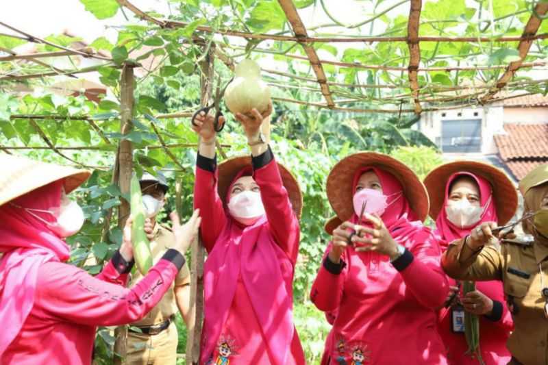 Tim PKK Menggelar Program 'Sejuta Tanaman Sehat'