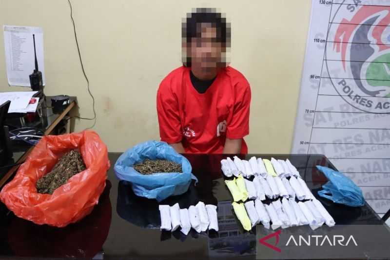 Tindak Tegas, Polisi Amankan 36 Paket Ganja dari Seorang Pengedar di Aceh Barat