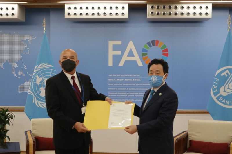 Tingkatkan Kerjasama Internasional, Dubes RI Serahkan Surat Kepercayaan Kepada Dirjen FAO