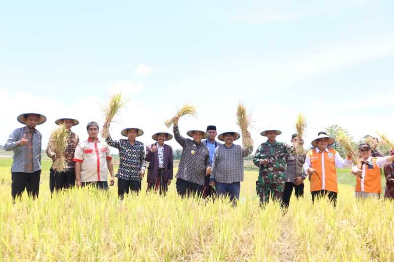 Tingkatkan Produksi, Bupati Wajo Serukan Pola Pertanian Terpadu