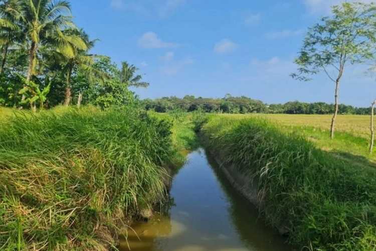 Tingkatkan Produktivitas, Kementerian PU Rehabilitasi Daerah Irigasi Cibaliung untuk Pertanian