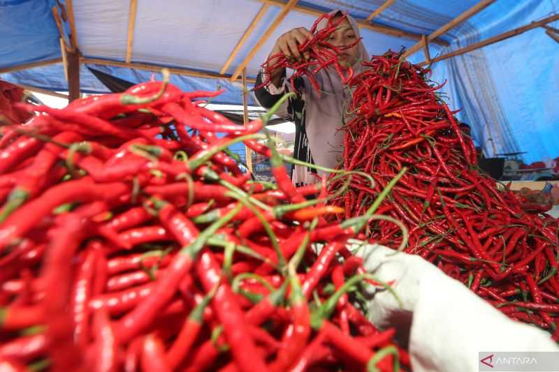 Turunkan Harga Cabai, Badan Pangan Nasional Pasok Jakarta dengan Cabai dari Sulawesi Selatan