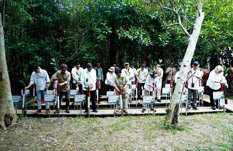 Untuk Memperbaiki Kualitas Lingkungan Dilakukan Penanaman Serentak 25.000 Mangrove di 25 Lokasi