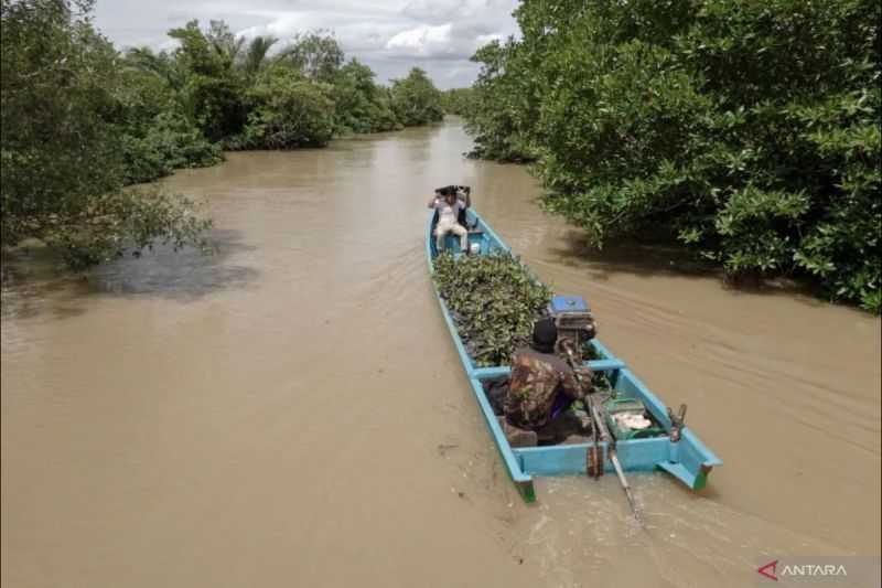 Usut Tuntas, Walhi Soroti Dugaan Kerusakan Mangrove dan Penimbunan Danau Gili Meno