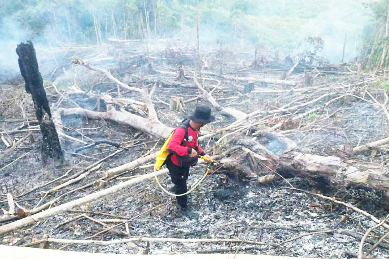 Waspada! Ini Prediksi BMKG tentang Dampak El Nino di 2023