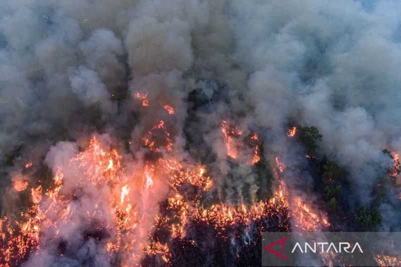 Water Bombing Padamkan Kebakaran Hutan di Ogan Komering Ilir