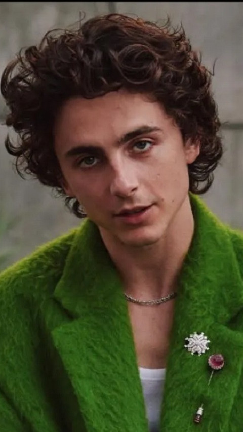 Timothee Chalamet Pernah Diminta Menambah Berat Badan agar Dapat Peran