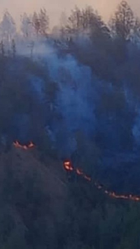 Kebakaran Lahan di Kawasan Gunung Rinjani, Pendakian Jalur Senaru Ditutup 