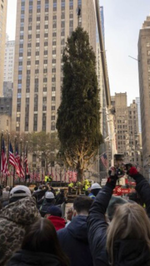 Pohon Natal Ikonik Rockefeller Center Tiba di New York