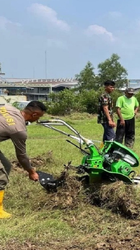 Dukung Ketahanan Pangan, Pasukan Brimob Mengolah Lahan Tidur Ditanami Jagung