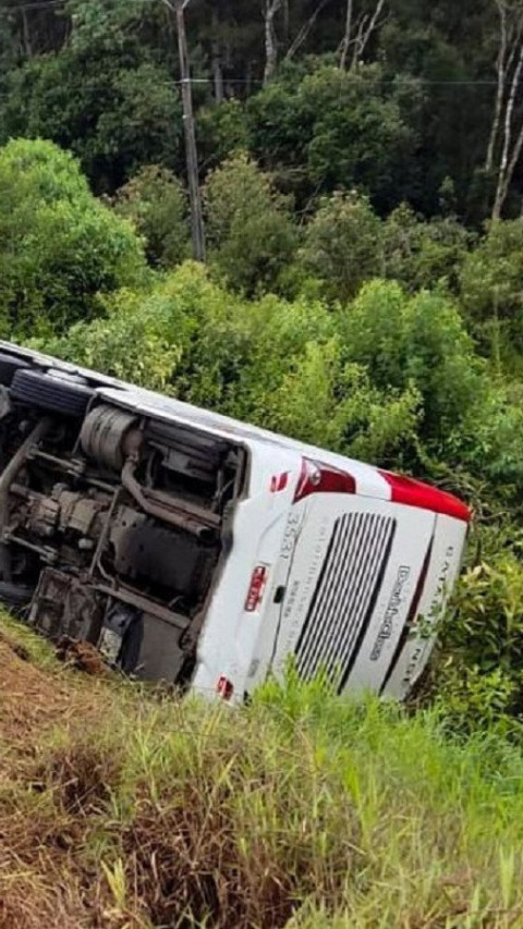 Bus Terjun ke Jurang di Brazil, 17 Orang Tewas