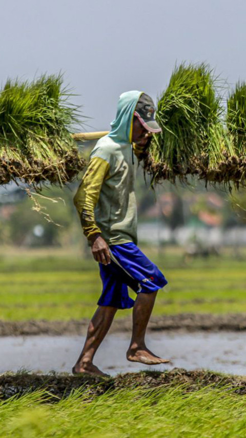 Kementan Pacu Cetak Sawah dan Optimasi Lahan