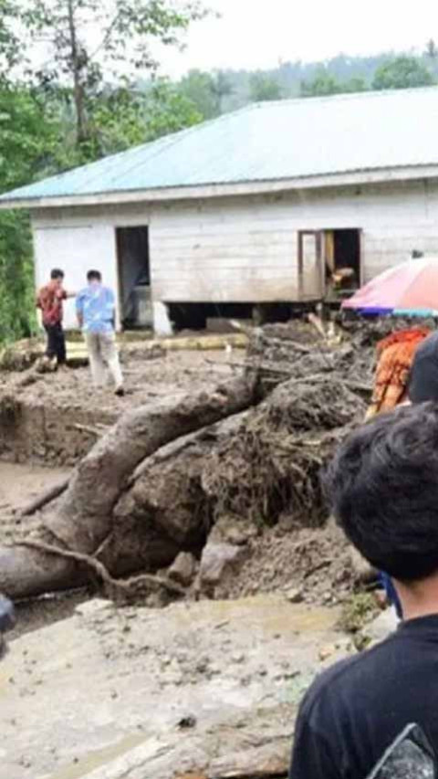 16 Orang Meninggal dan 7 Hilang akibat Banjir di Sumut