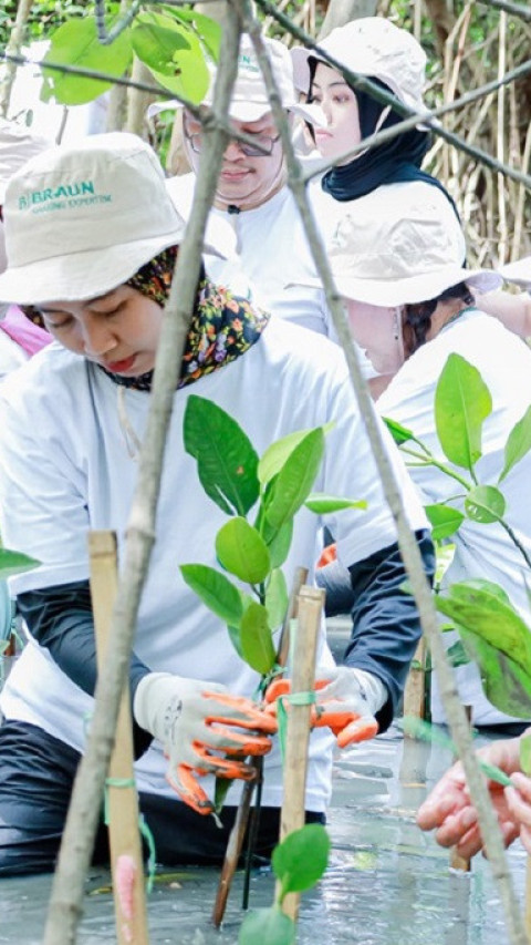 Jaga Ekosistem Mangrove dengan Aksi Bersih-bersih Sampah