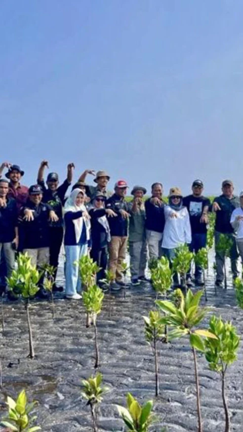 Kalsel adopsi teknik kelola mangrove Probolinggo Jatim untuk RHL