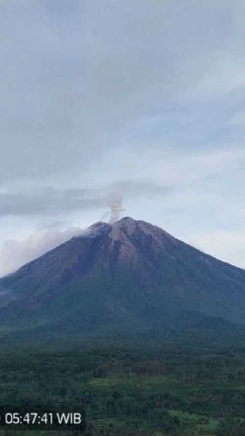 Gunung Semeru Beberapa Kali Erupsi, Tinggi Letusan hingga 800 Meter