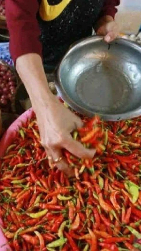 Harga Pangan Hari Ini, Cabai Rawit Naik Jadi Rp40.490 per Kg