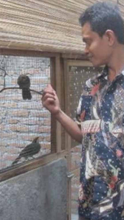 Pelestarian Burung di Dusun Pucung