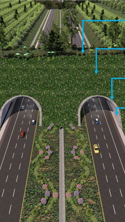 Ramah Lingkungan, Tol IKN Punya Terowongan Perlintasan Satwa Liar 