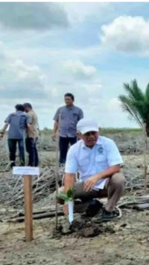 Dukung Ketahanan Iklim, Gapki Rehabilitasi Mangrove di Tangerang