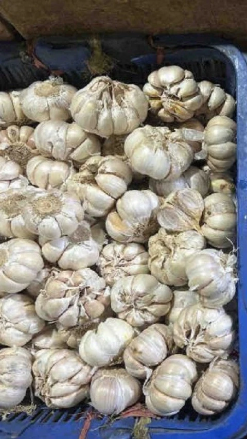 Bapanas: Harga Pangan Secara Umum Naik, Bawang Putih Rp47.520 per Kg