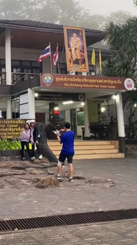 Wisatawan Diserang Gajah Liar hingga Tewas di Taman Nasional Thailand  